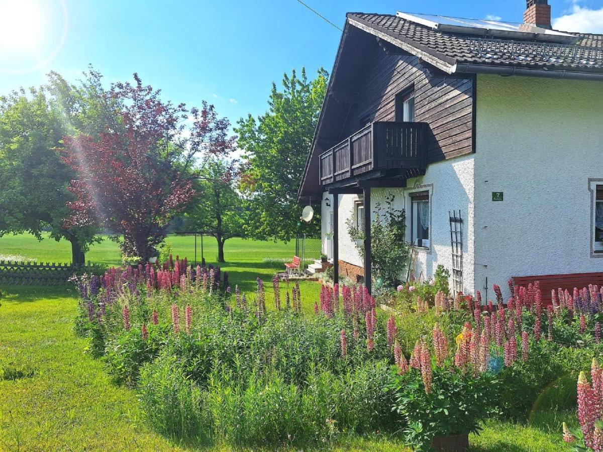 Pension Schneider Фрауэнау Экстерьер фото